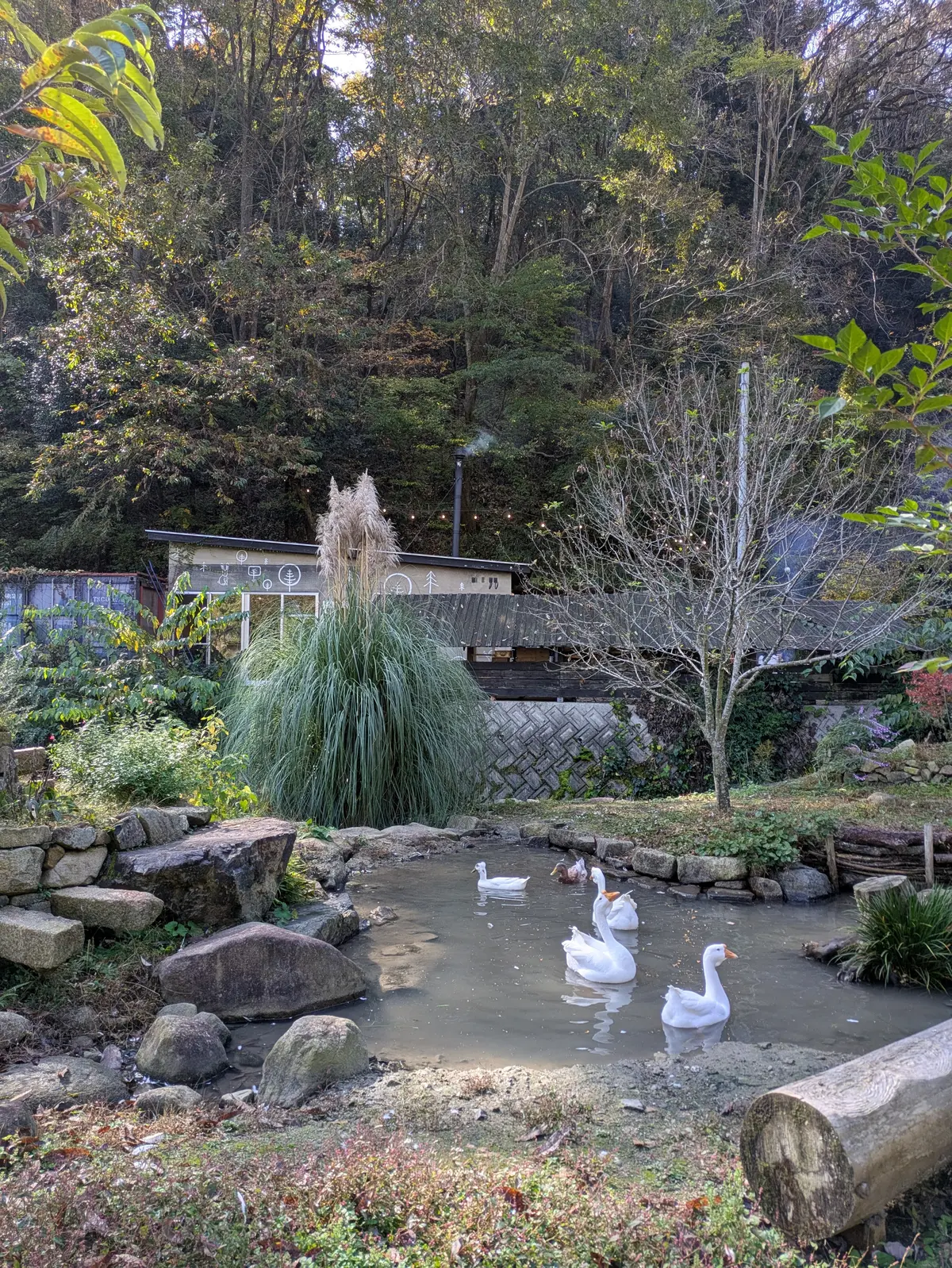 森の中の小さなパン屋さんでブランチデートの画像_2