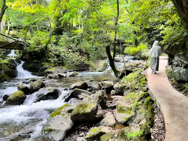 【さかぽんの冒険】本と温泉旅@湯河原惣湯の画像_4