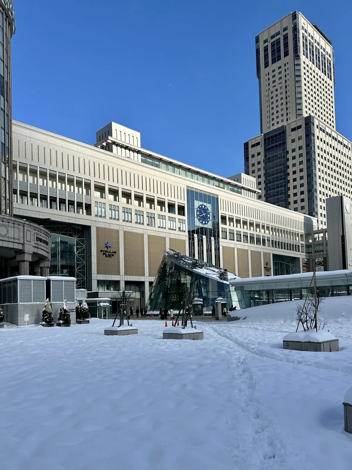 【北海道】雄大な自然、食べ物、温泉と魅力の画像_5