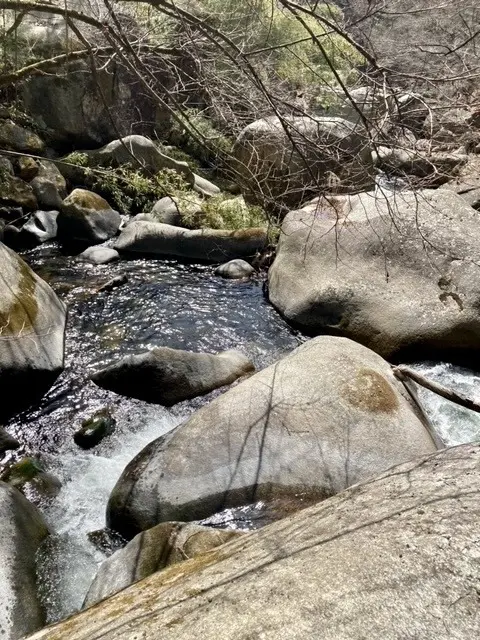 清流。遊歩道でハイキング、ウォーキング、ジョギング。