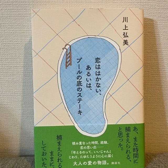 恋ははかない、あるいはプールの底のステーキ　の表紙