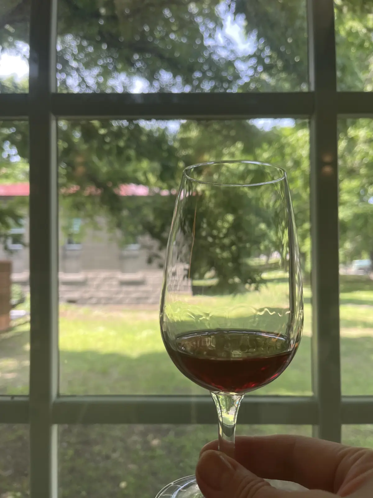 北海道大学でワイン研究！研究施設で道産ワの画像_15