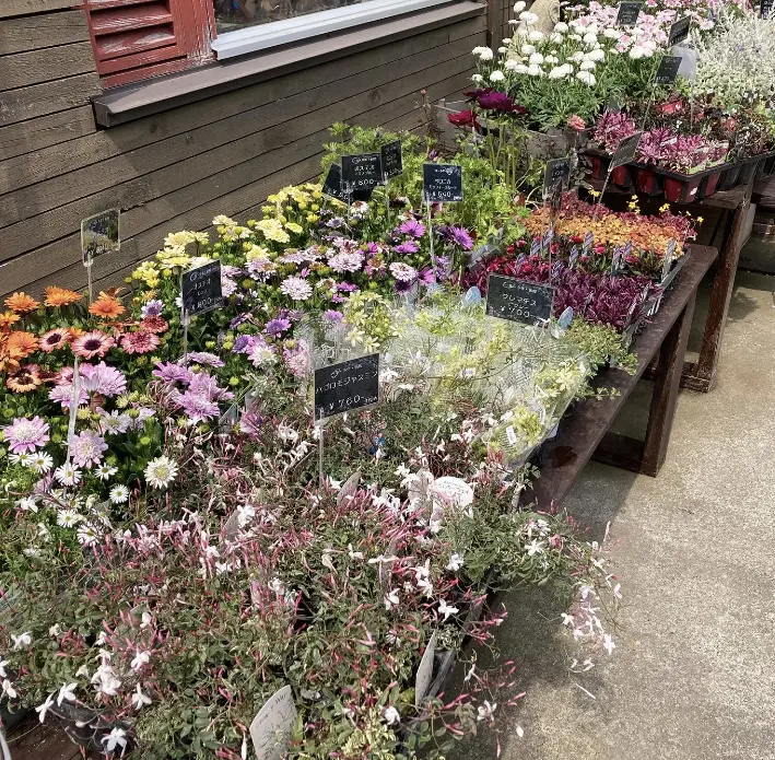 春の札幌滞在の画像_2