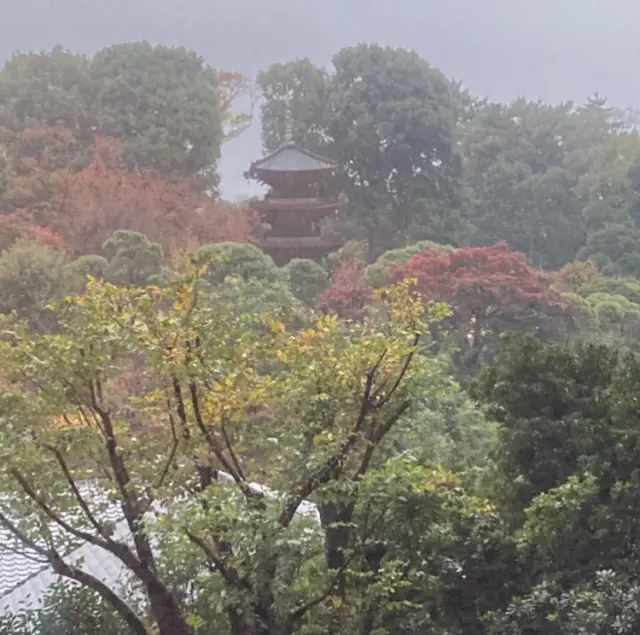 紅葉とクリスマスモードの椿山荘の画像_8