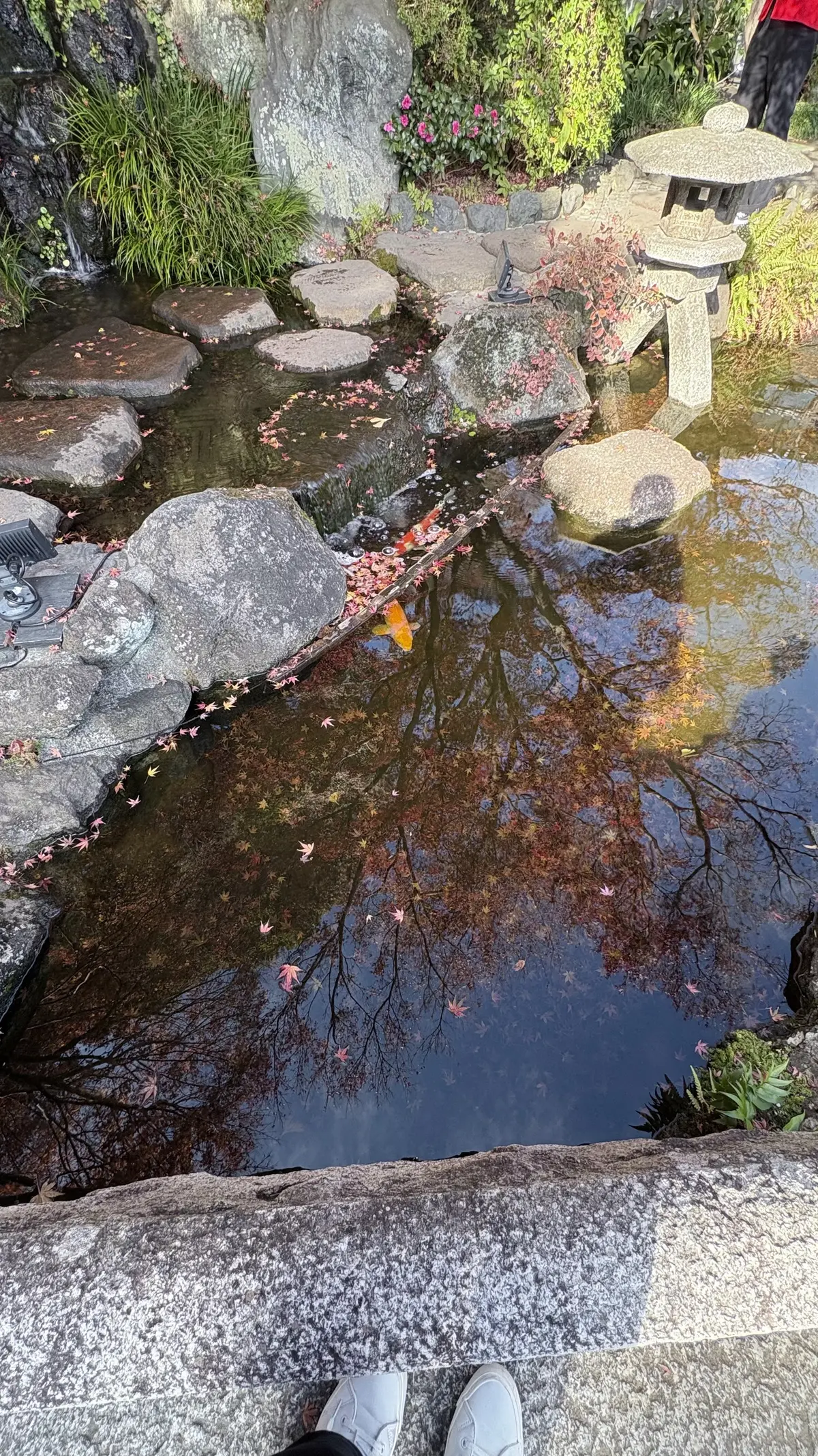 50代GUユニクロコーデ＠鎌倉ソロ活動の画像_10