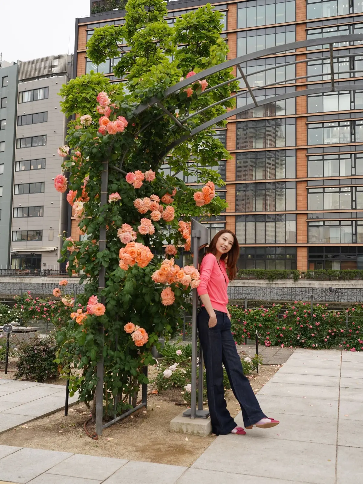 舞台前の気分転換、中之島バラ園へ🌹の画像_1