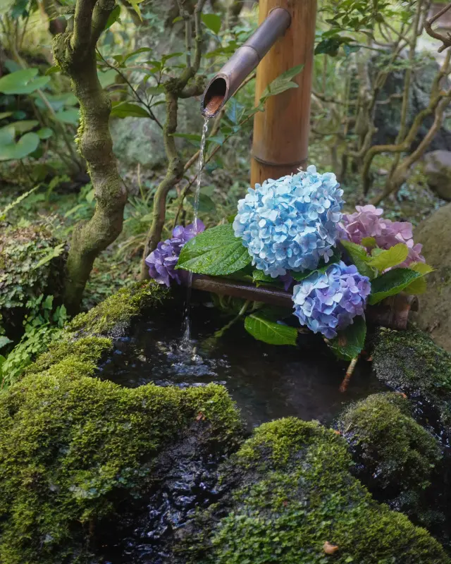 箱根湯本　大人の隠れ宿の画像_2