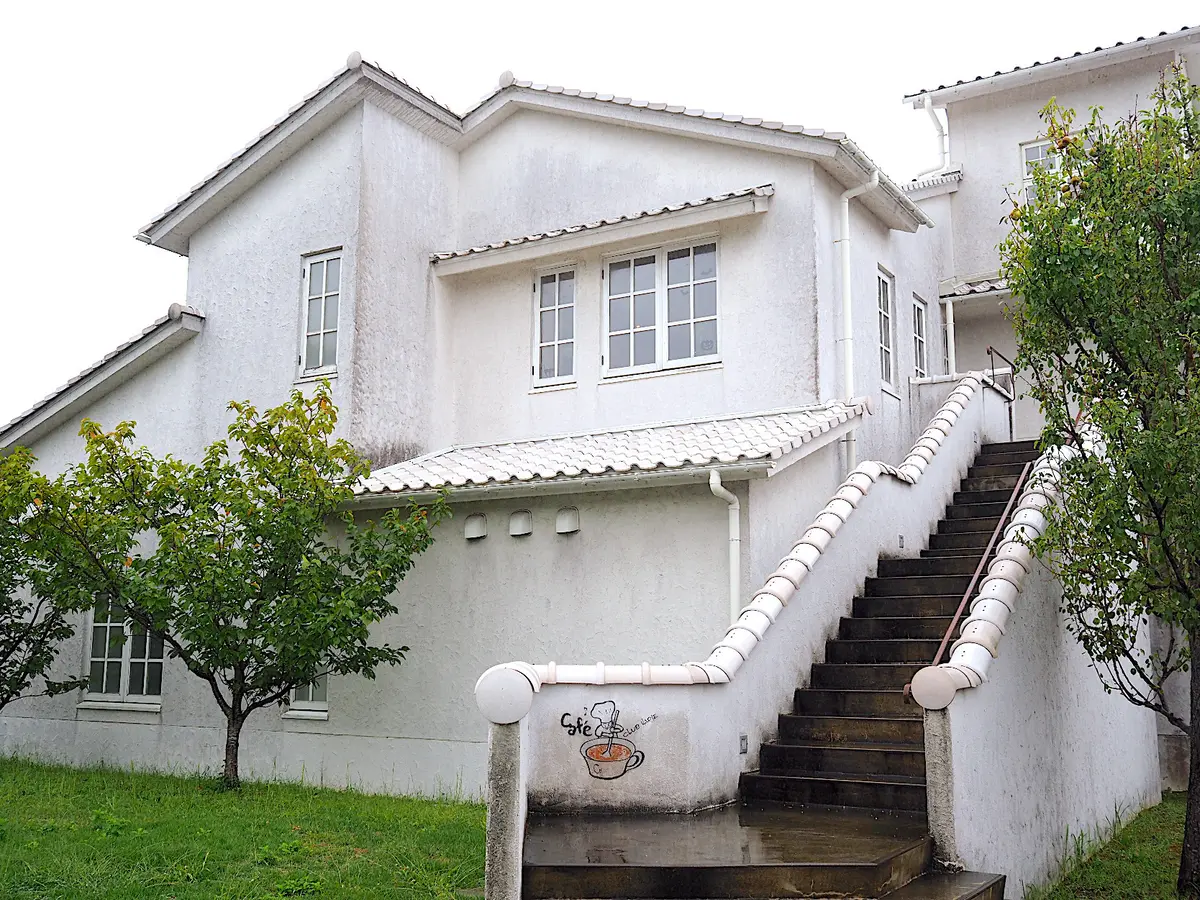 【ZARA】ピンクのストライプシャツで巡の画像_12