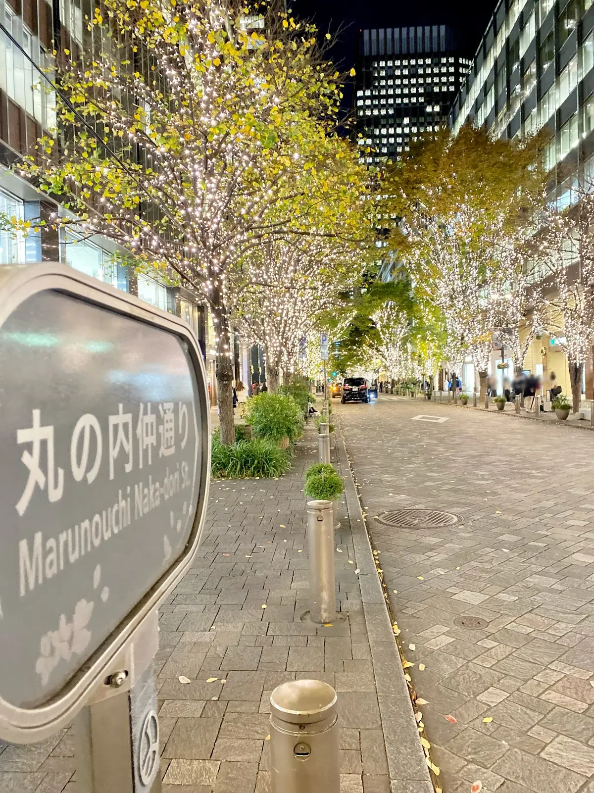 丸の内で和食を味わうの画像_1