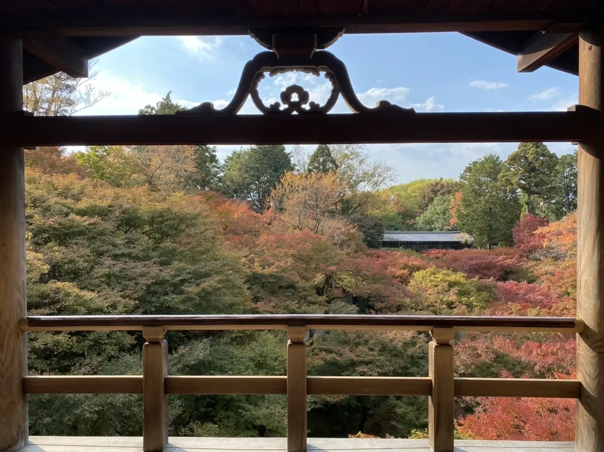 紅葉の名所、京都・東福寺の通天橋から想うの画像_8