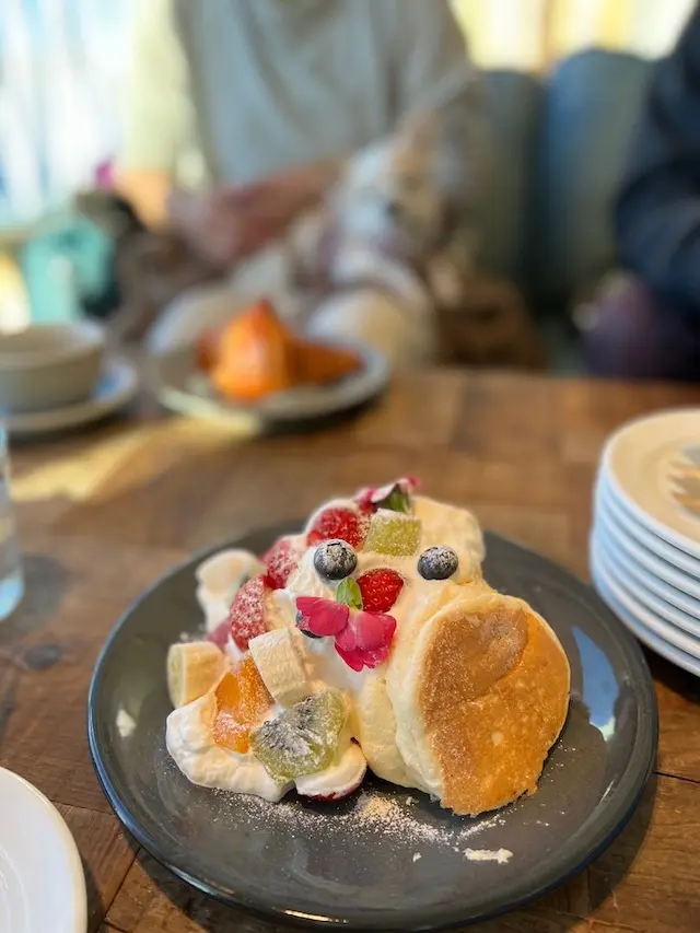 早起きは三文の徳！ 〜パノラマオーシャンの画像_11