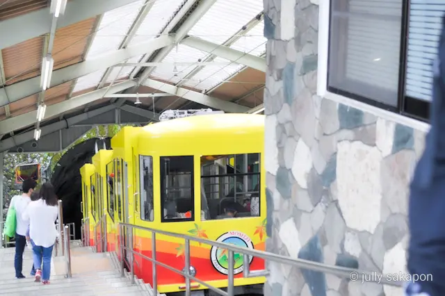 【さかぽんの冒険】苔むす秋の山と温泉プチの画像_15