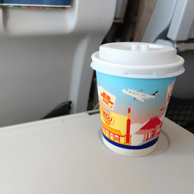 福岡　飛行機　富士山　スカイマーク　