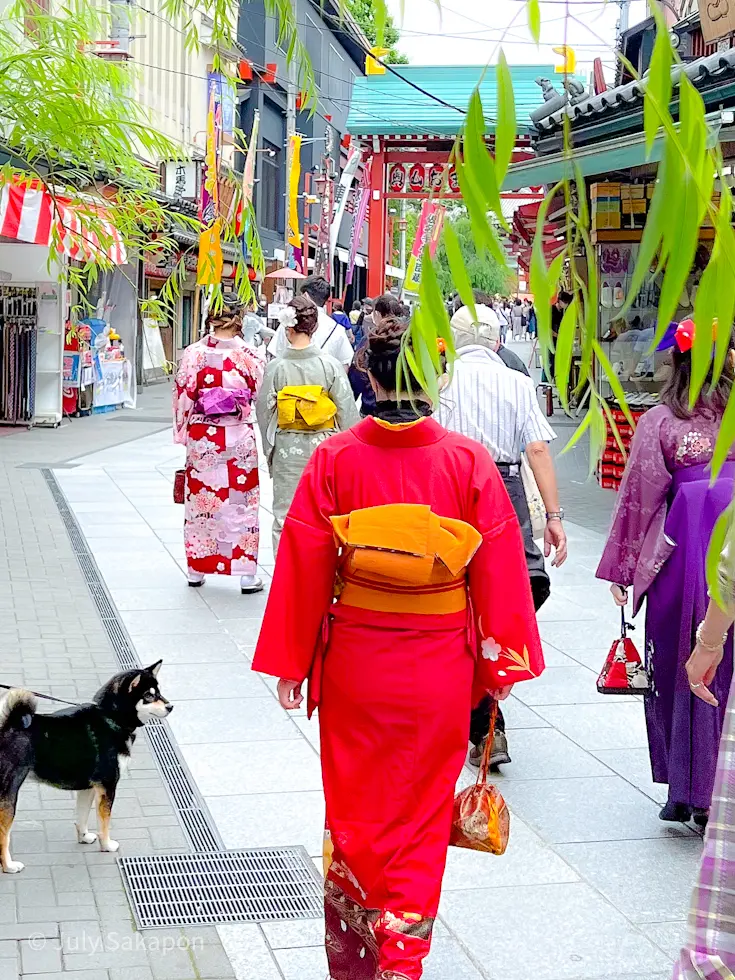 【さかぽんの冒険】江戸★下町ぶらり旅☆@の画像_2