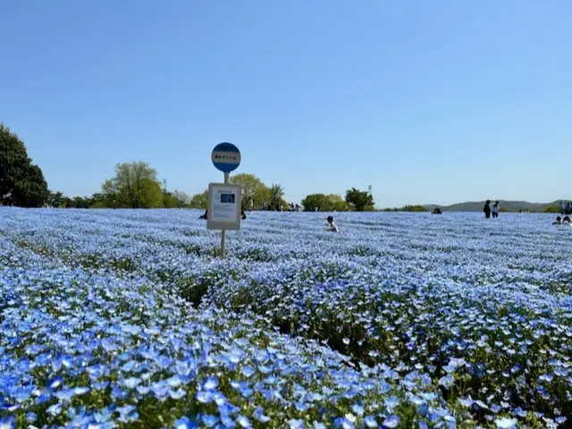 しあわせのバス停
