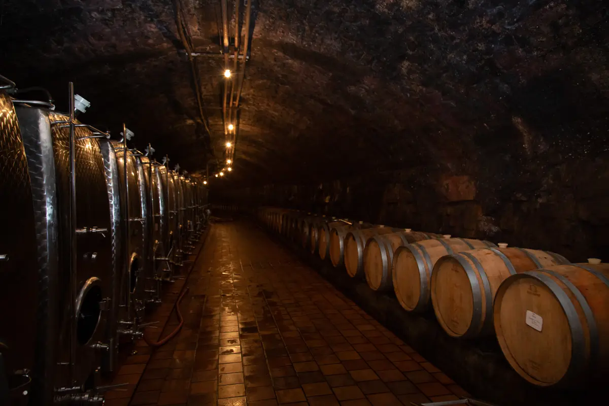 ほとんど国外不出!?の希少なルクセンブルの画像_5