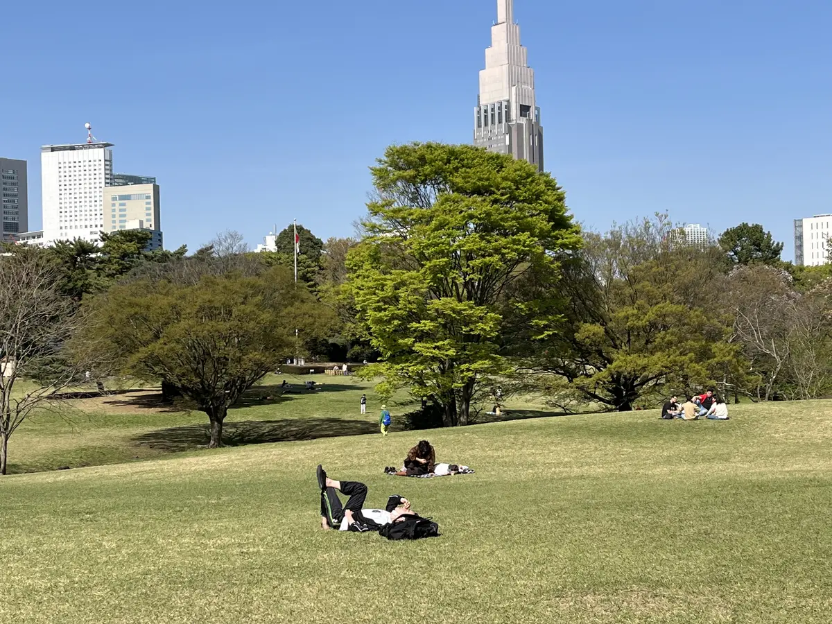 【おでかけ】青山～表参道パワースポットての画像_4