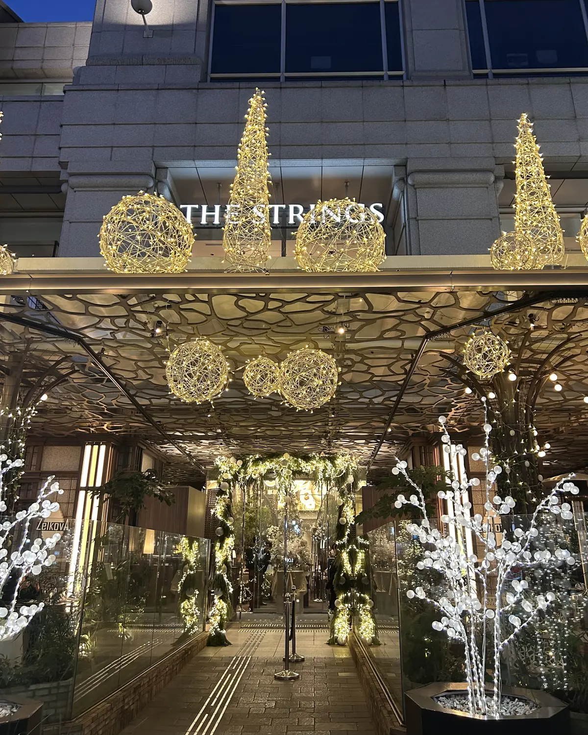 表参道THE STRINGS