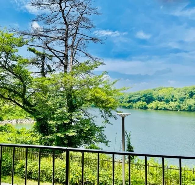 ＊ムーミンバレーパークへ＊の画像_9