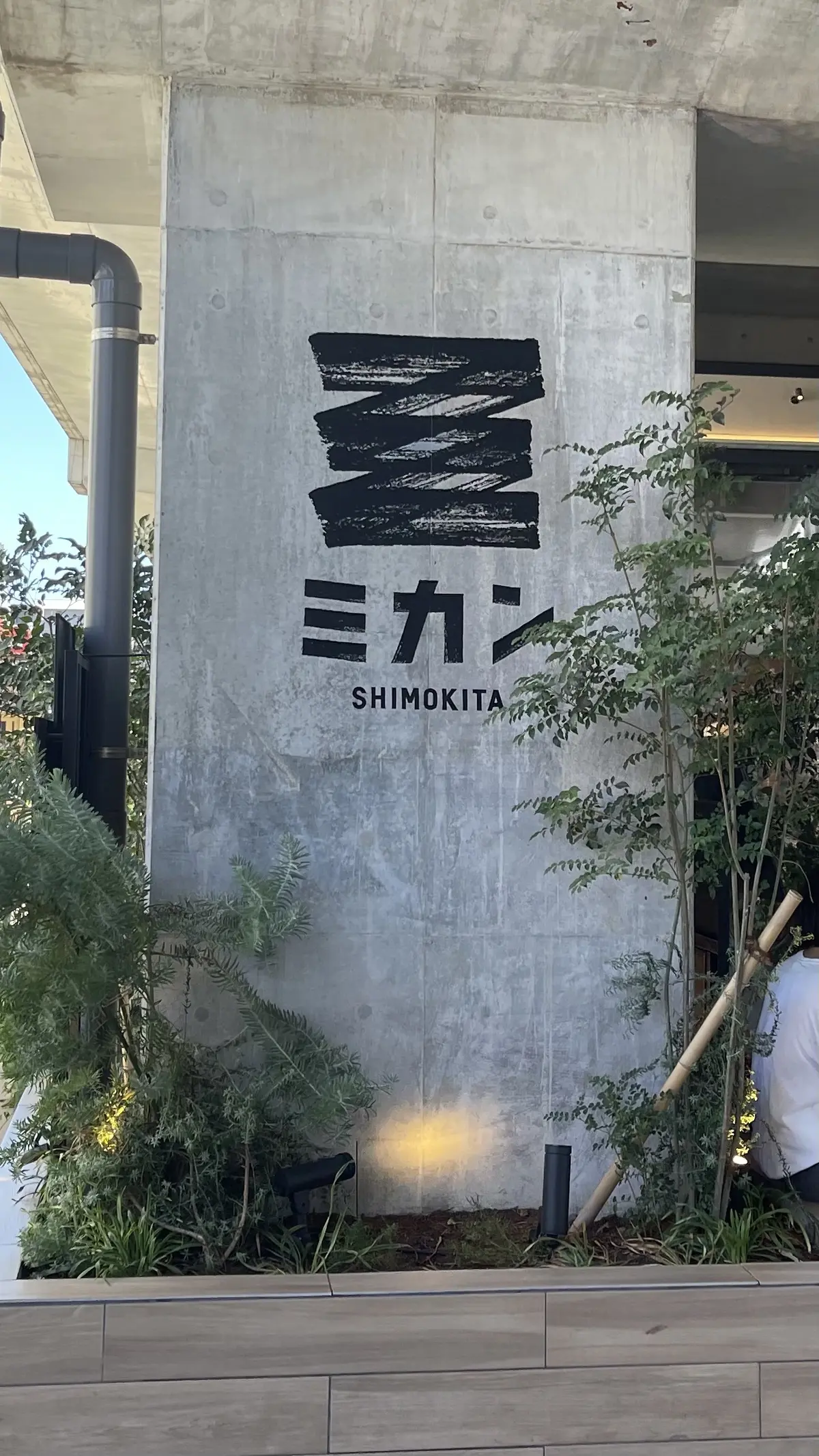 蘇った白トップスとゆるパンツで下北沢への画像_1