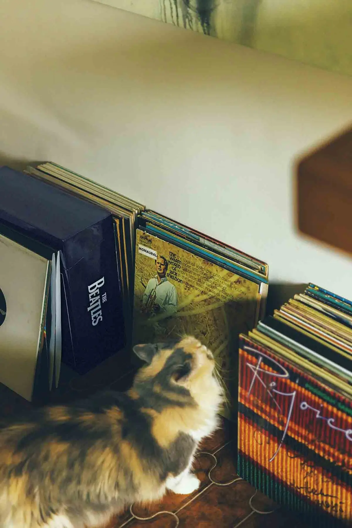 CDは処分したがレコードは残し、最近はホームパーティなどで友人たちと聞くのが楽しみに