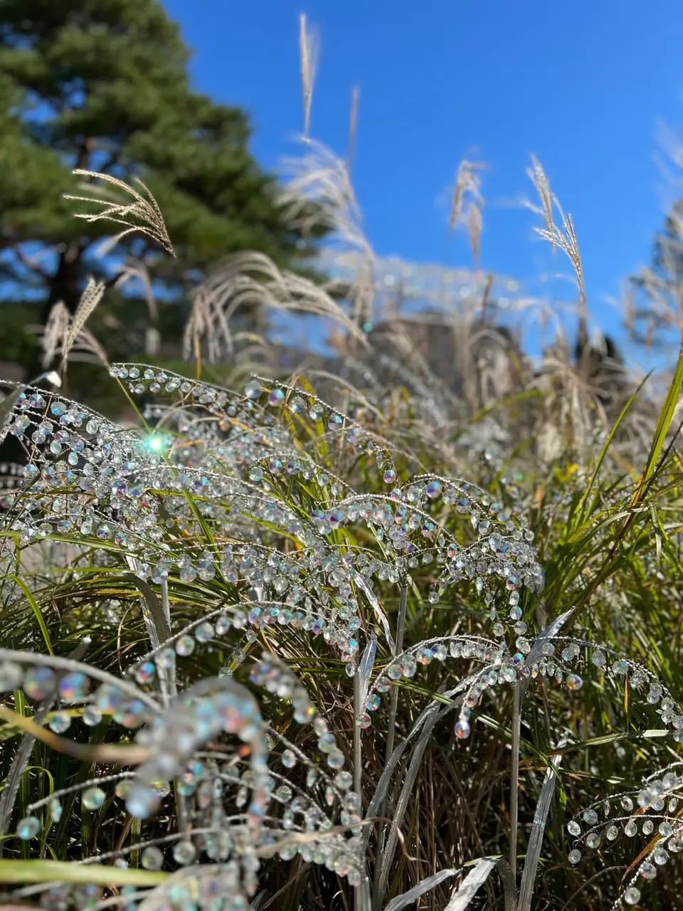 箱根ガラスの森美術館☆秋を探しにの画像_7