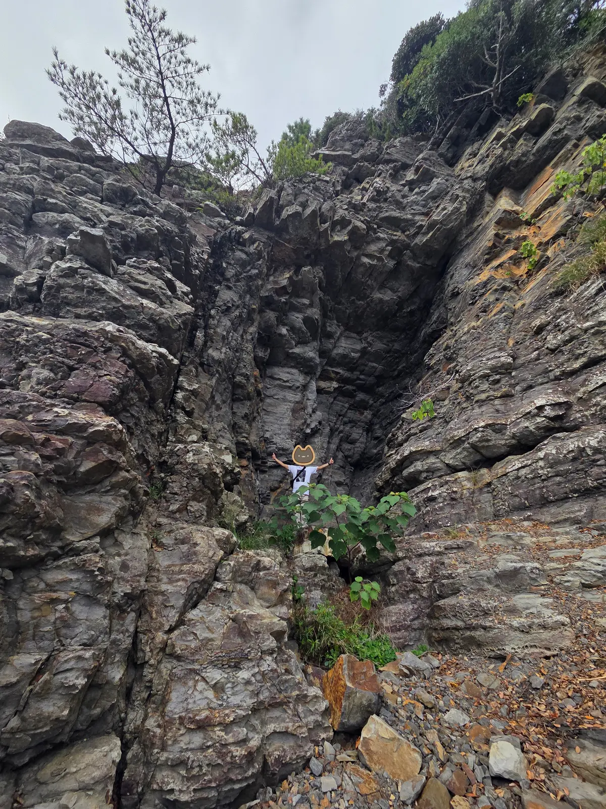 和歌山2泊3日　熊野古道にふれる世界遺産の画像_6