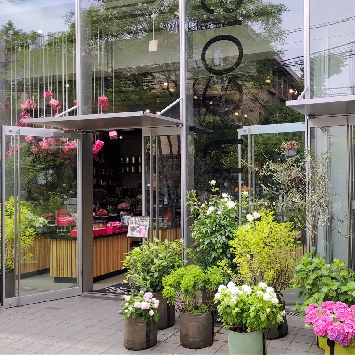 花　ニコライバーグマン