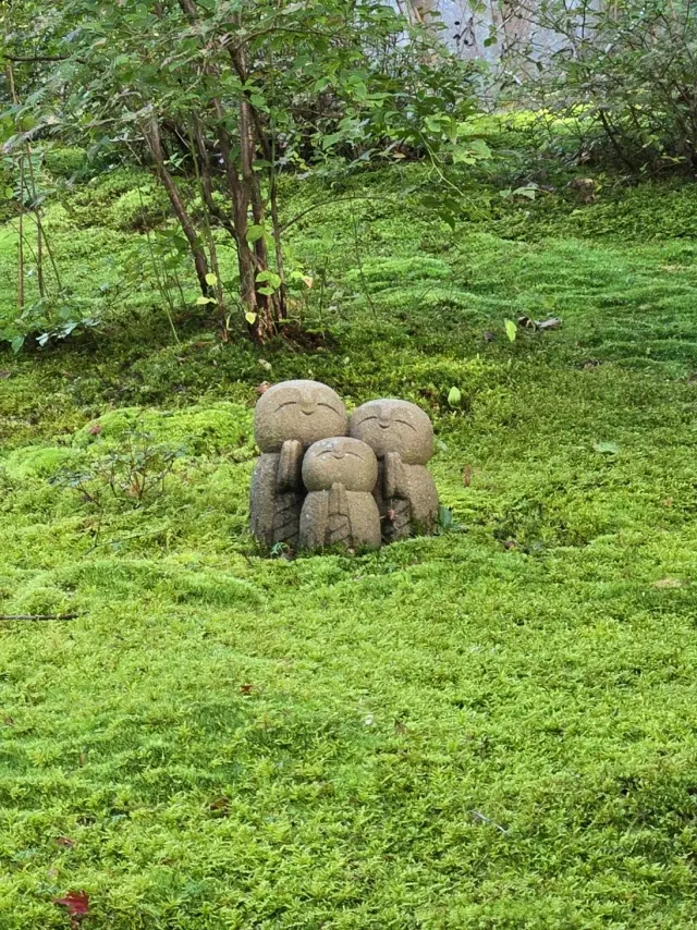 秋の京都ひとり旅・中編 ～瑠璃光院から詩の画像_17