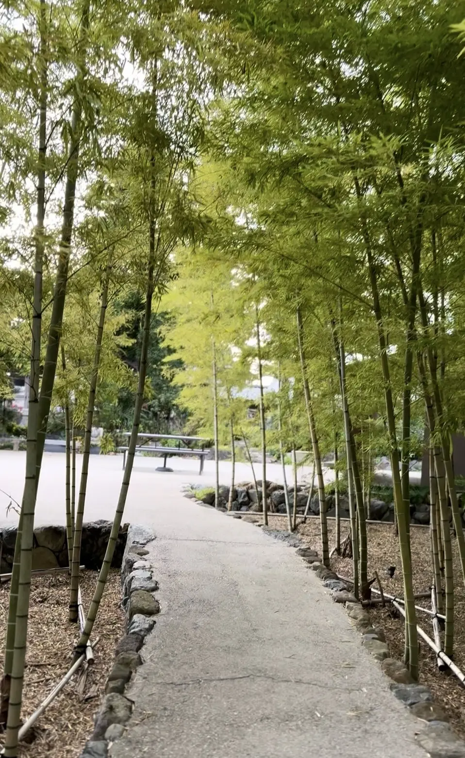 【大人の贅沢時間】見つけた理想空間でゆっの画像_2