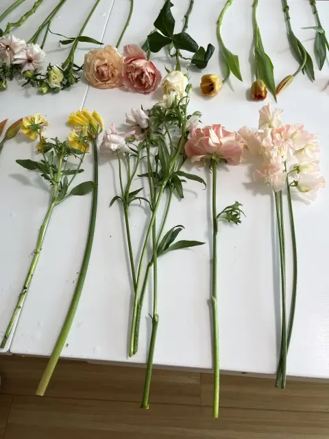 RU美です！よろしくお願い致します。の画像_1