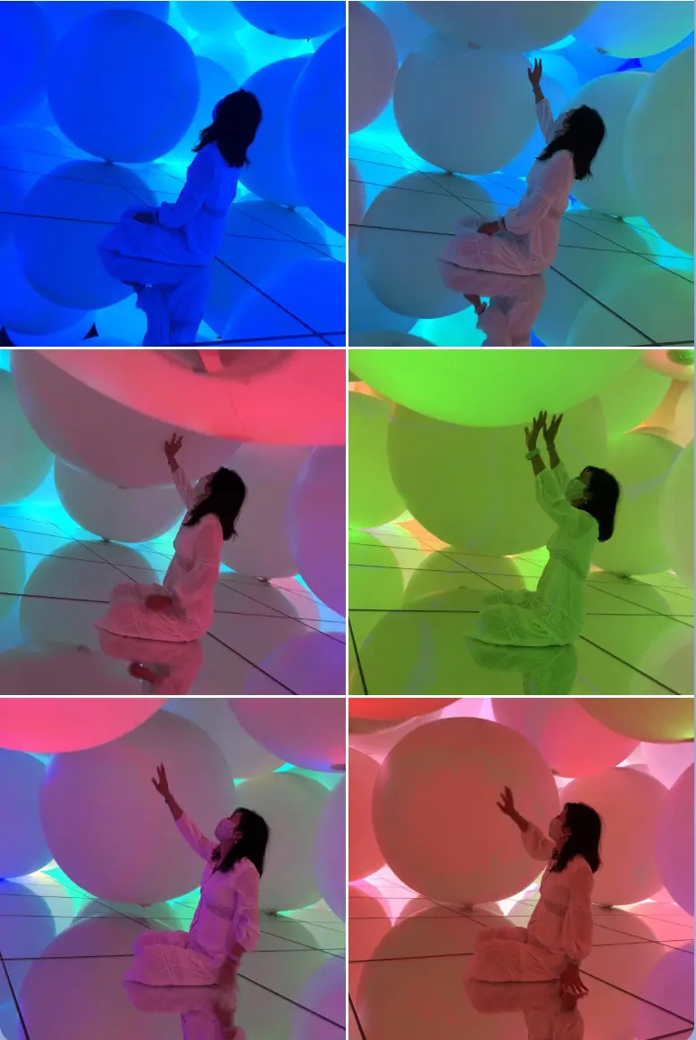 chaos バックでチームラボへの画像_3