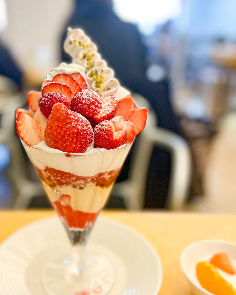 【さかぽんの冒険】桜の都物語③新宿御苑の画像_3