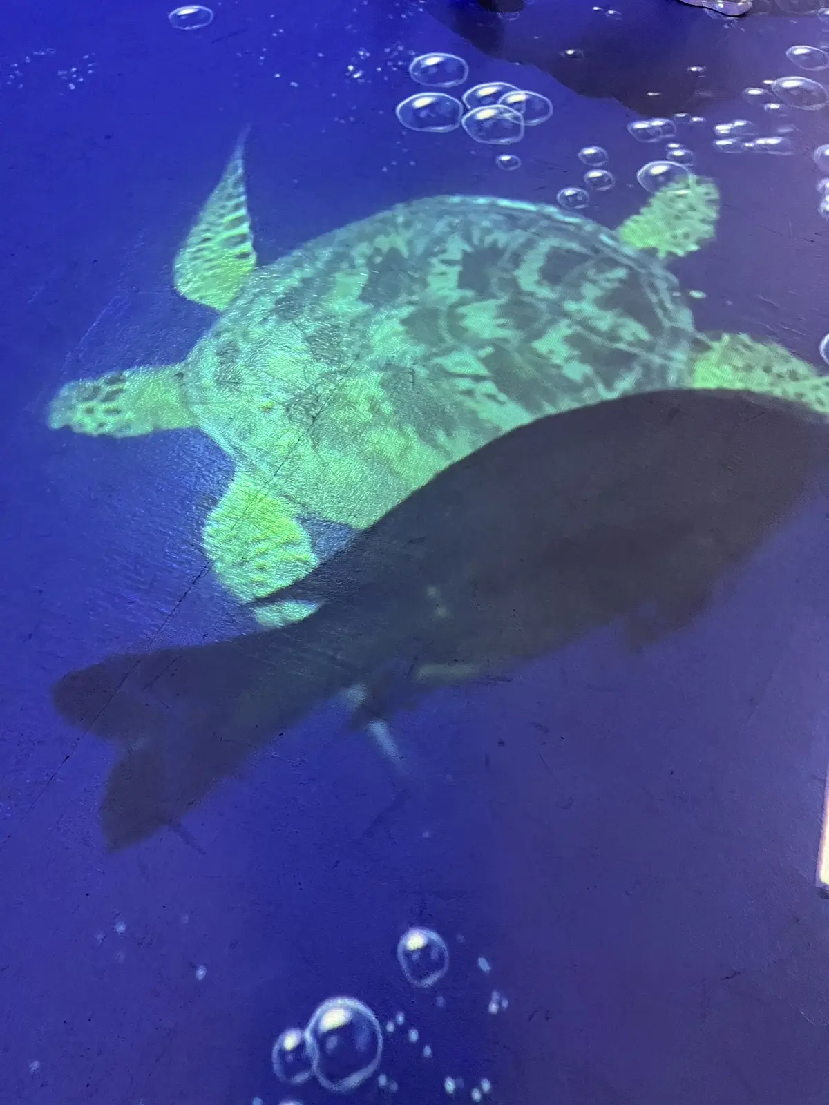 暑〜い週末に涼しげなランチをの画像_3