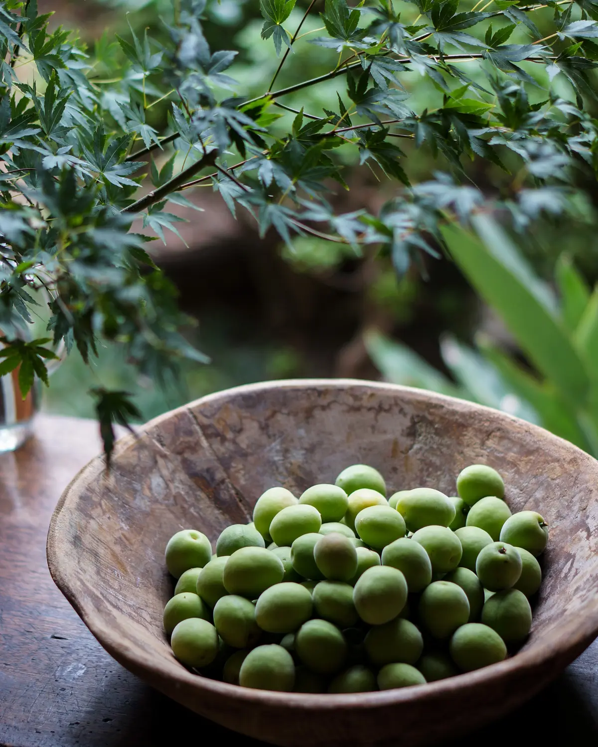 今年の梅仕事の画像_1