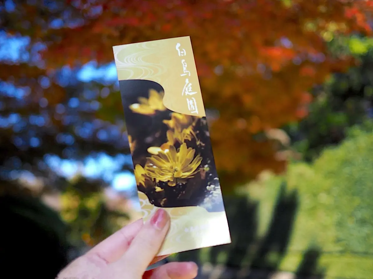 名古屋市内最大級の規模を誇る白鳥庭園