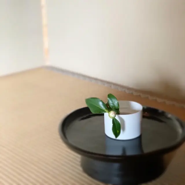 韓国白磁　韓国　白磁