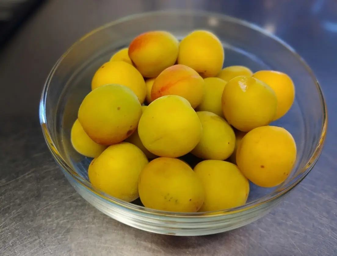 南高梅　完熟梅　梅仕事