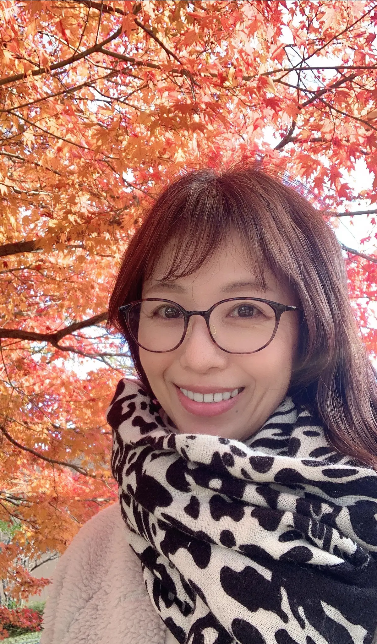 遅れてきた！紅葉の画像_3