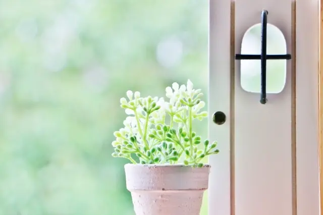 50代、Jマダムに人気のインテリアスタイの画像_1