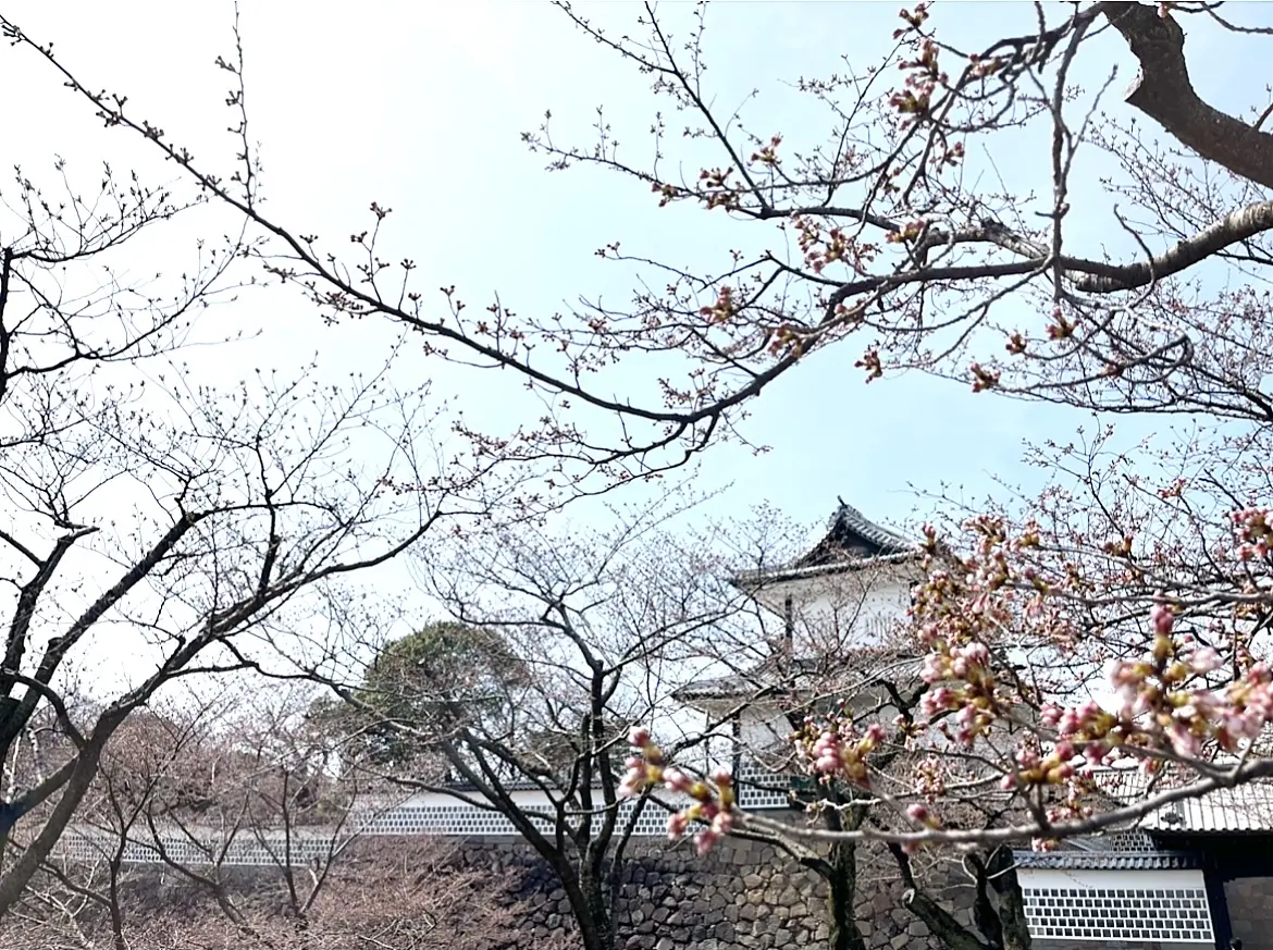 金沢旅①神社・建築巡り&兼六園の画像_11
