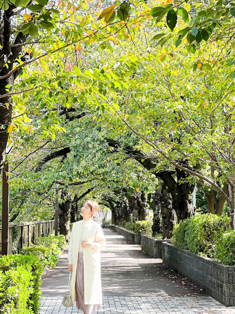 秋色ニットで紅葉拾い🍁in 高尾山の画像_12