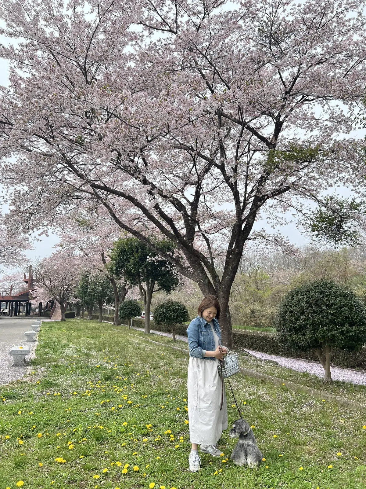 那須高原　梅澤千佳子