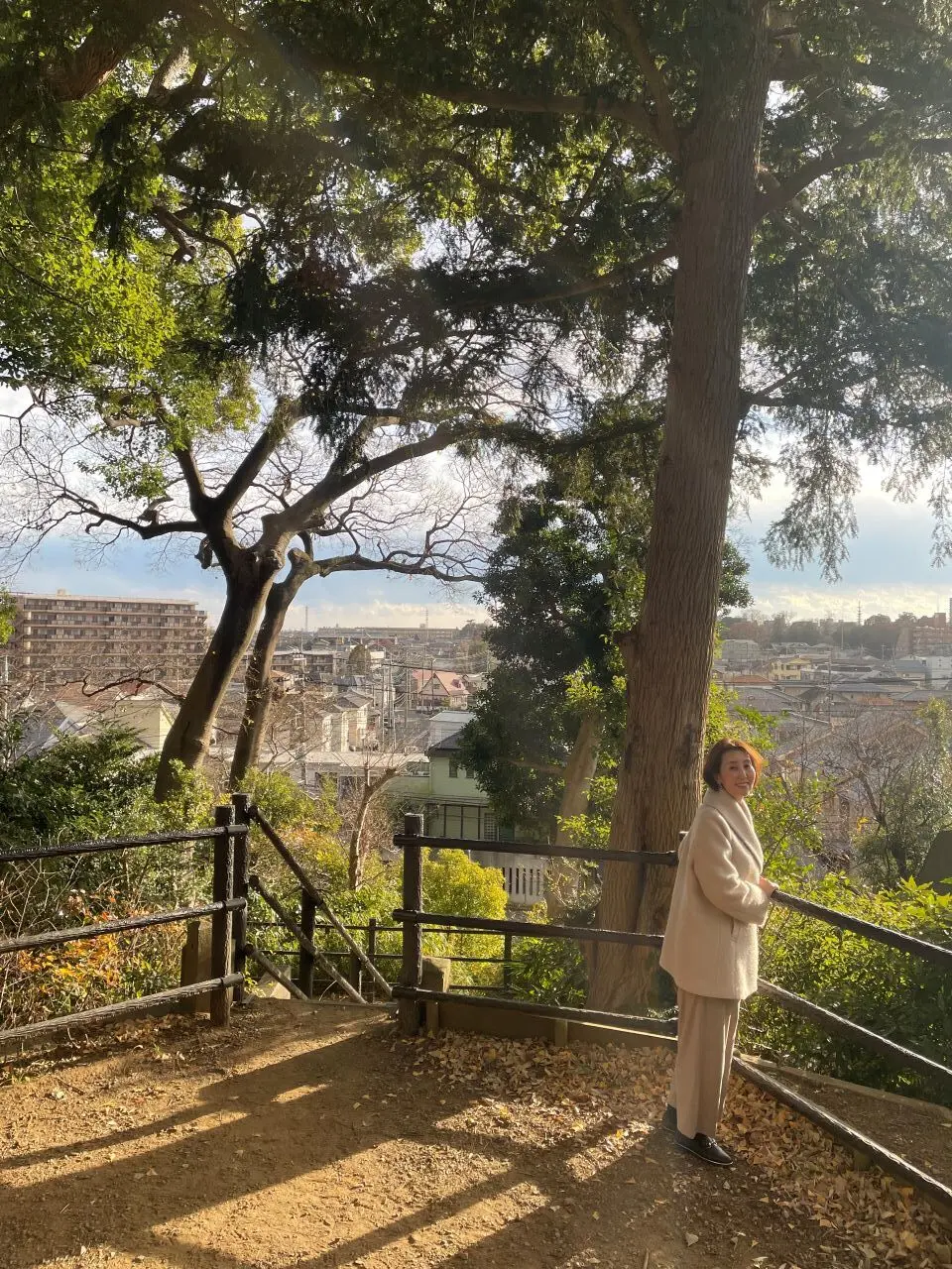 川越城の富士見櫓跡の上からの眺望2