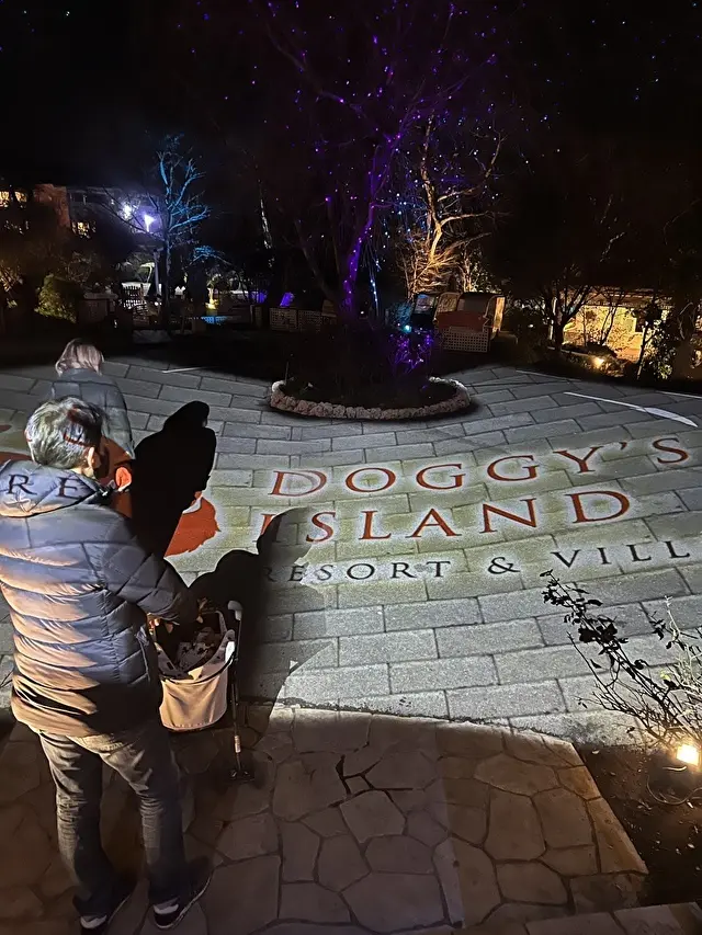 夜になるとイルミネーション、ライティングが綺麗！