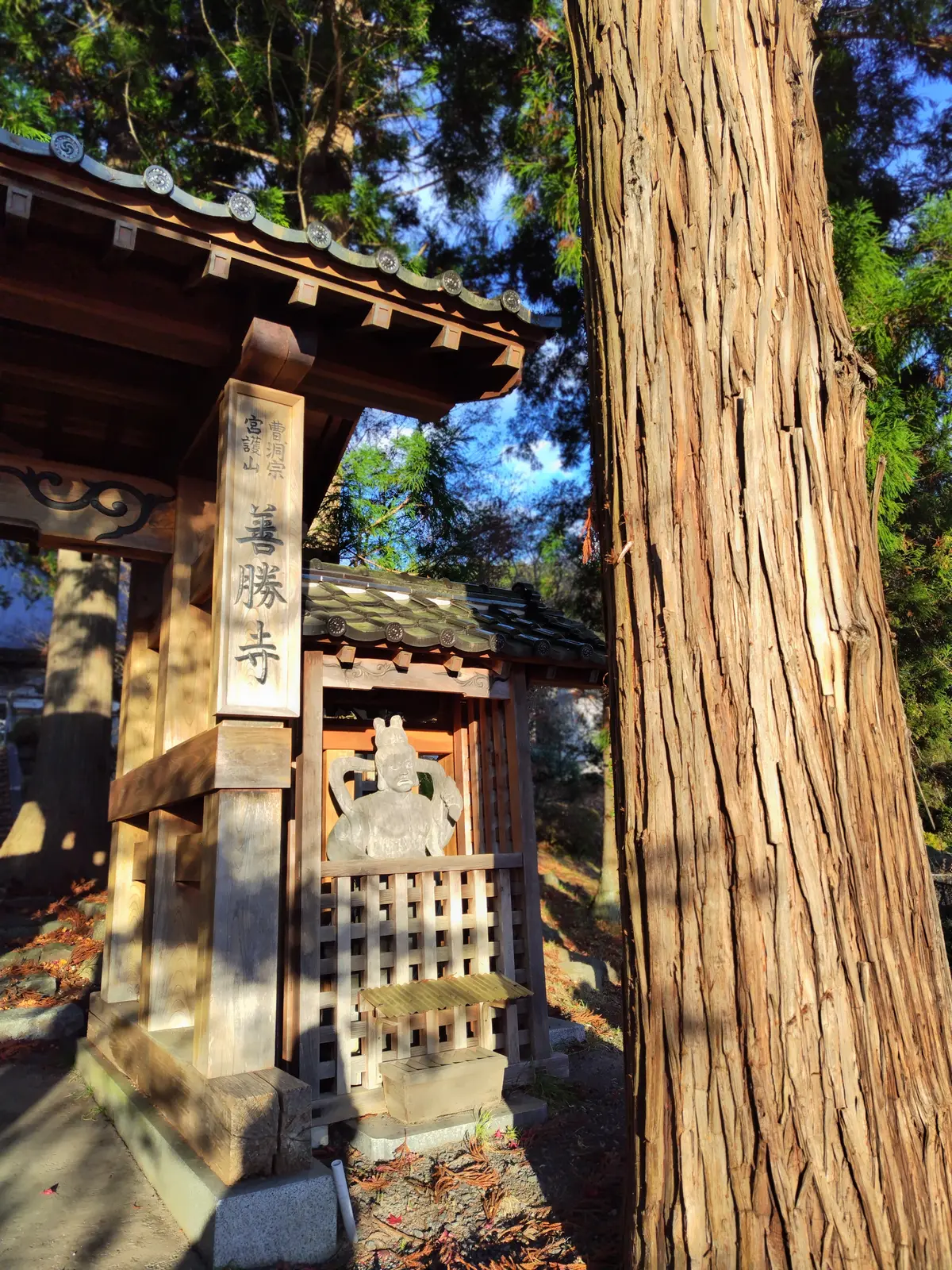 母の待つ里　ロケ地　善勝寺
