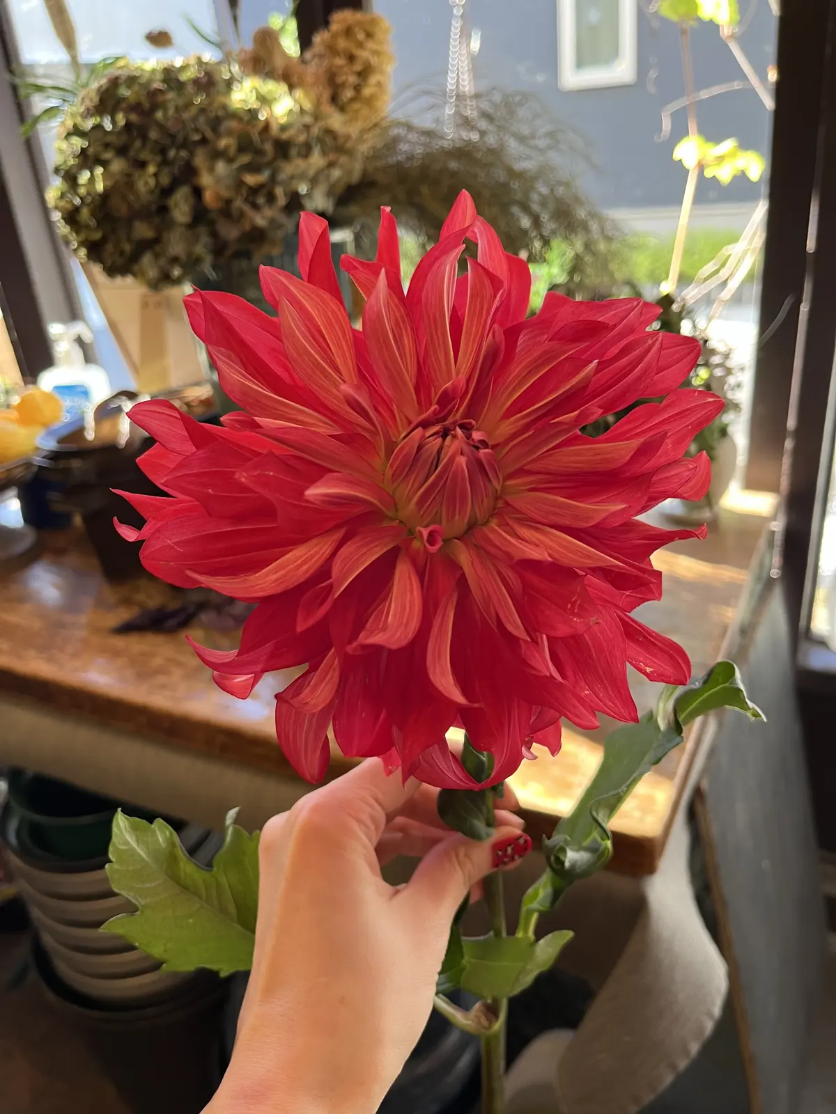 カッコいいブーケを束ねにの画像_3