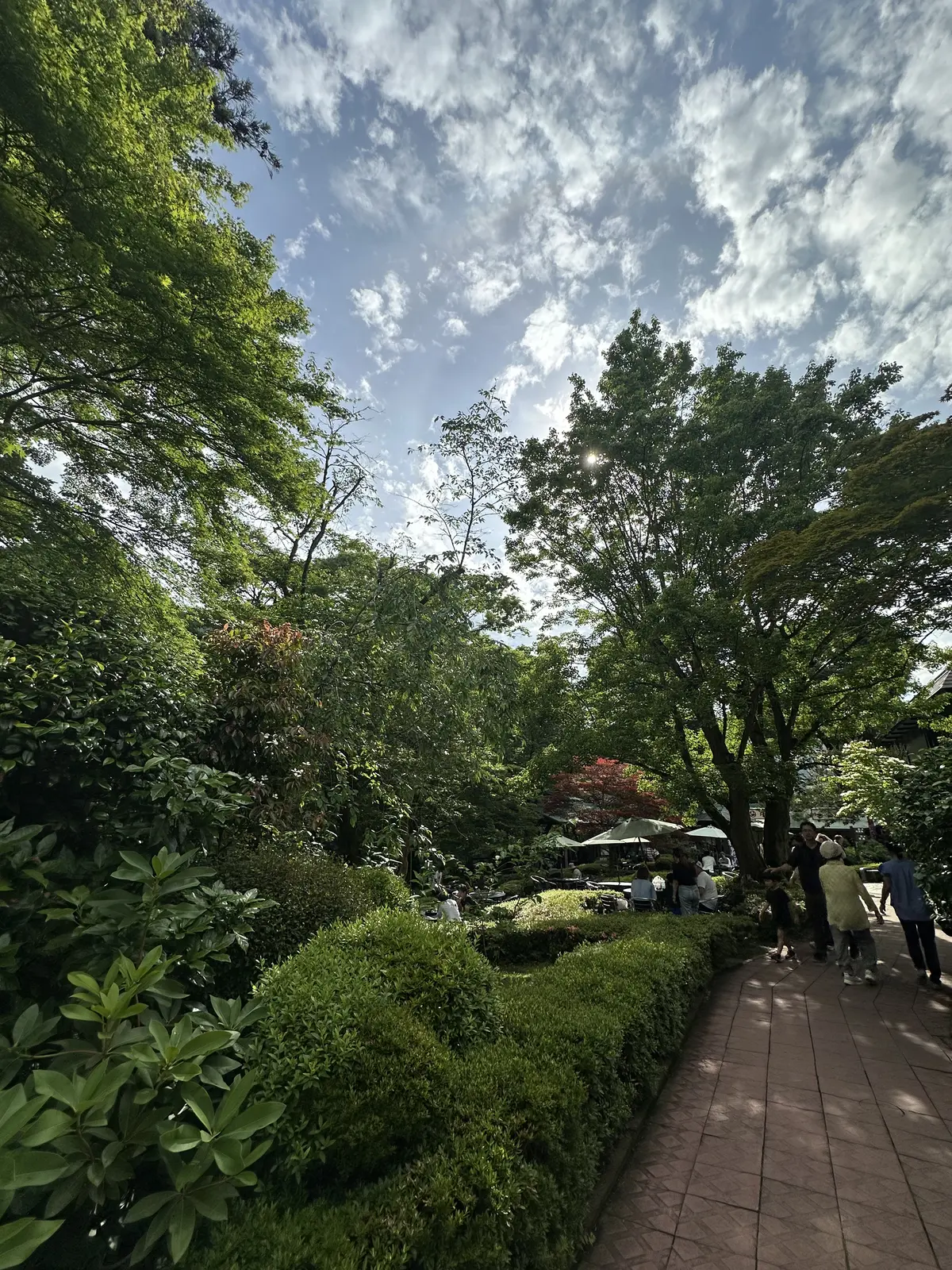 東京都が誇る青梅市の銘酒、澤乃井へ日帰りの画像_1