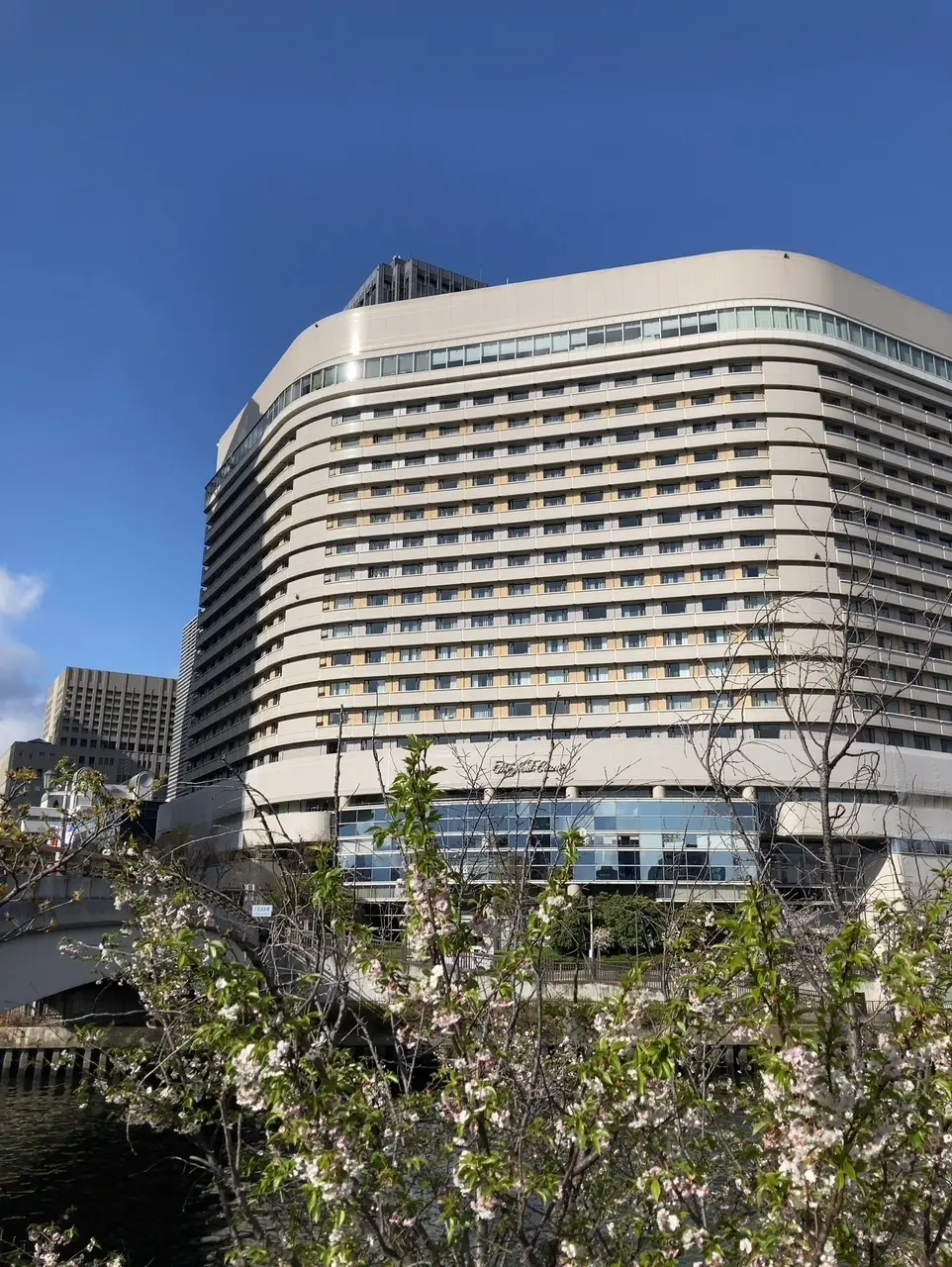 大阪城公園から。八重桜が咲いていました?