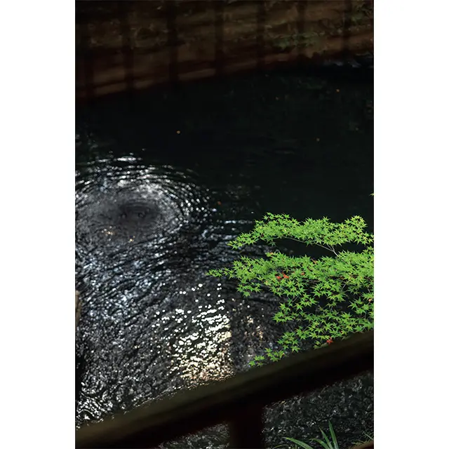 いつ訪れても美しい自然と土地の 美味が迎えてくれる